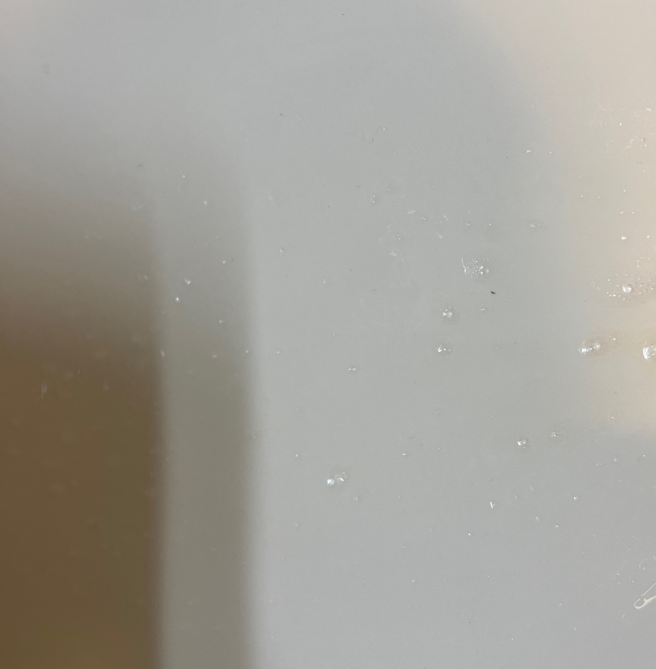 ブレスマイルウォッシュ/BRESMILE(ブレスマイル)/マウスウォッシュ・スプレーを使ったクチコミ（3枚目）