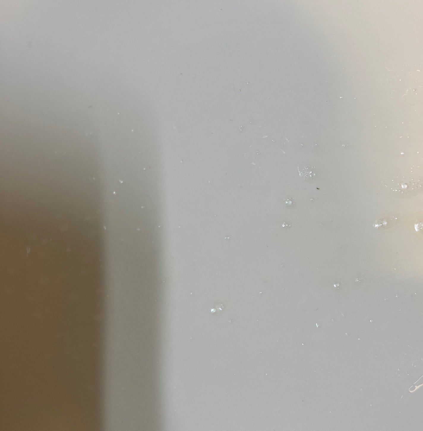 ブレスマイルウォッシュ/BRESMILE(ブレスマイル)/マウスウォッシュ・スプレーを使ったクチコミ(3枚目)