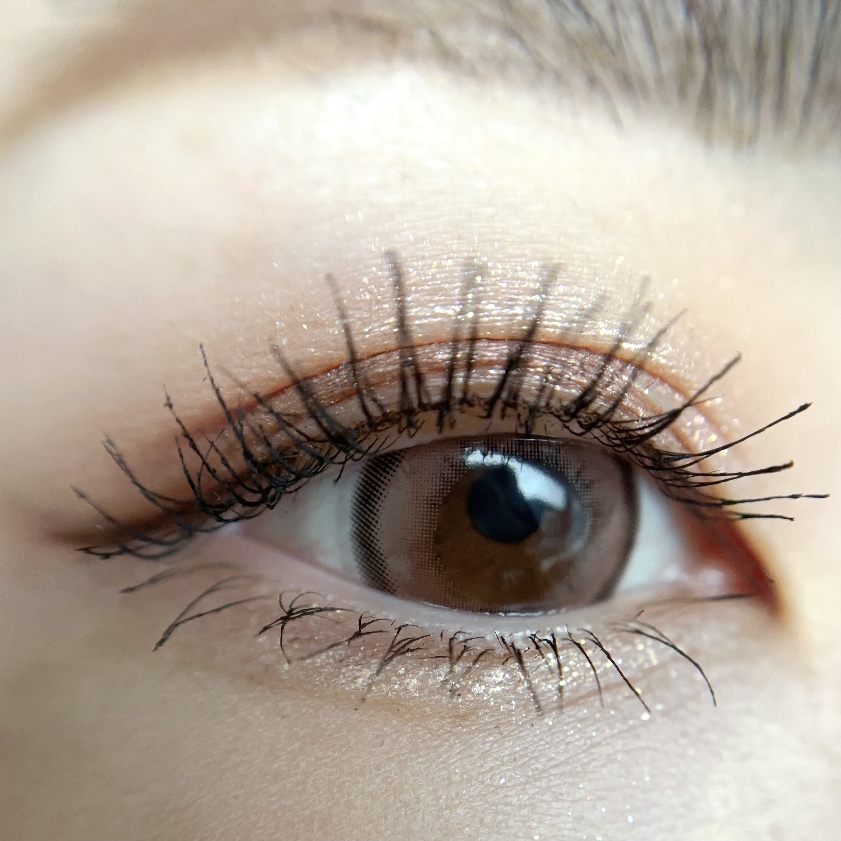 ビジュー アイシャドーパレット/NARS/アイシャドウパレットを使ったクチコミ（2枚目）