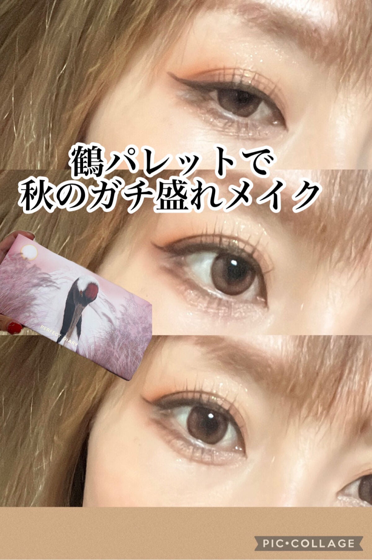 エクスプローラ12色 動物アイシャドウパレット/PERFECT DIARY/アイシャドウパレットを使ったクチコミ(1枚目)