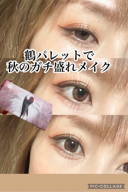 エクスプローラ12色 動物アイシャドウパレット/PERFECT DIARY/アイシャドウパレットを使ったクチコミ(1枚目)