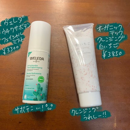 ビューティー定期便/bea’s up beauty book (ビーズアップ ビューティブック)/その他キットセットを使ったクチコミ(6枚目)