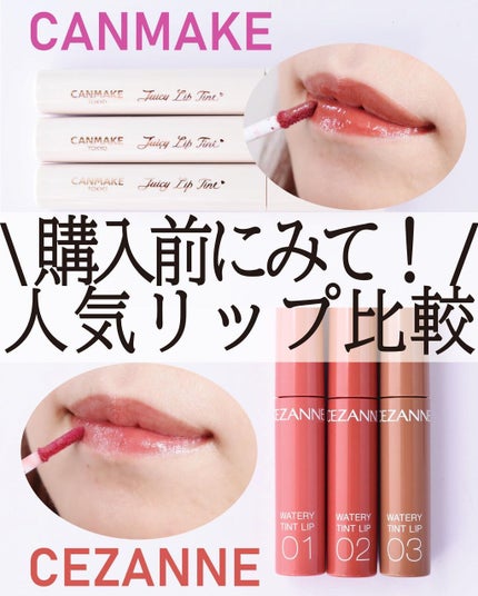 ジューシーリップティント/キャンメイク/口紅を使ったクチコミ(1枚目)