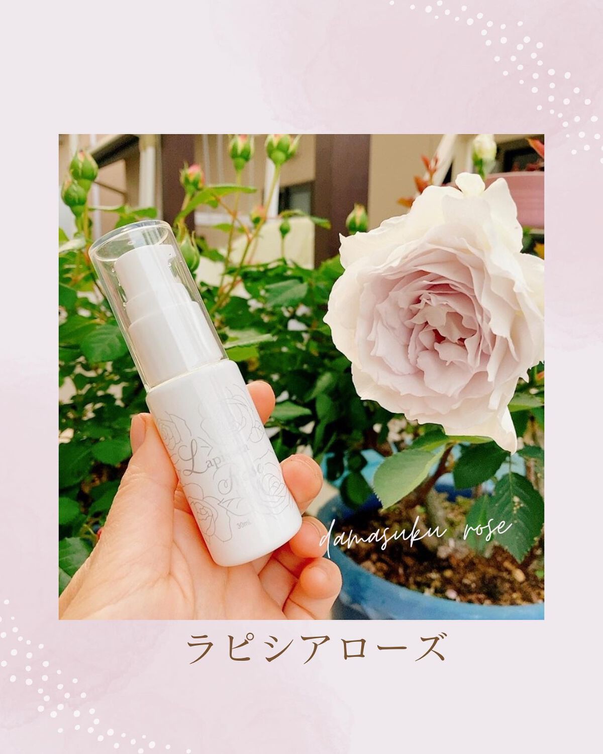 ラピシアローズ/Lapissea Rose/バストケア・ヒップケアを使ったクチコミ（1枚目）