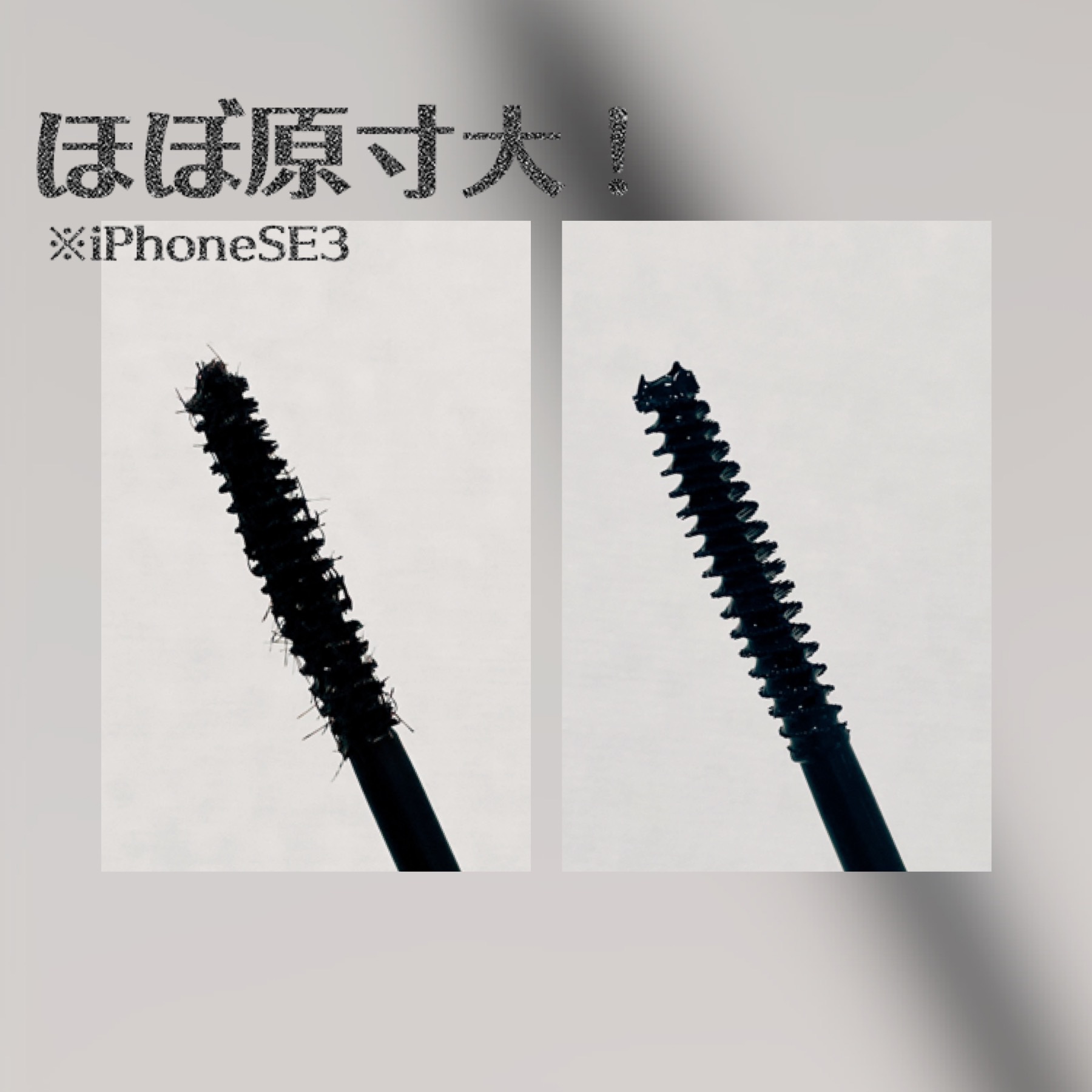 パーマネントカール ケア マスカラ 01 ネイビーブラック/FASIO/マスカラを使ったクチコミ（2枚目）