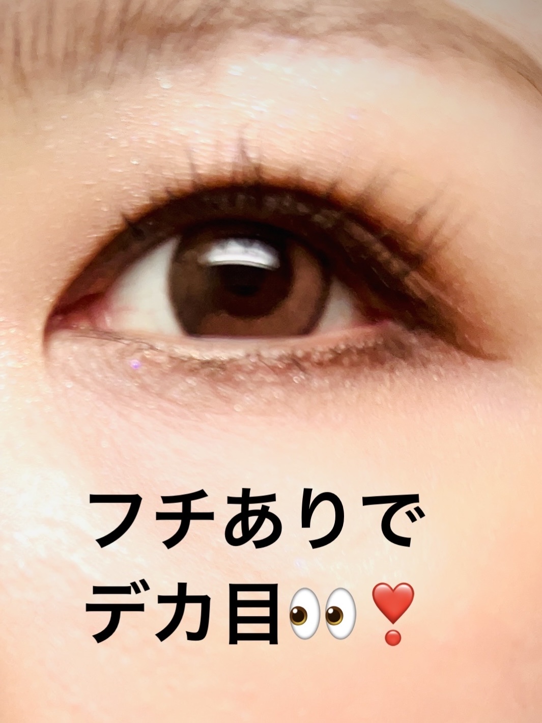 Secretive Kristen 1day ピンクブラウン/Hapa kristin/ワンデー（１DAY）カラコンを使ったクチコミ（3枚目）