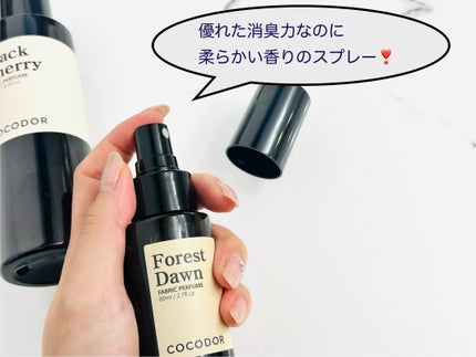 COCODOR Fabric Perfume フォレストダウンの香りのクチコミ「サイズや香りが豊富な@cocodor_japanのマルチスプレー❣️
💠Fabric_Roo.....」(1枚目)