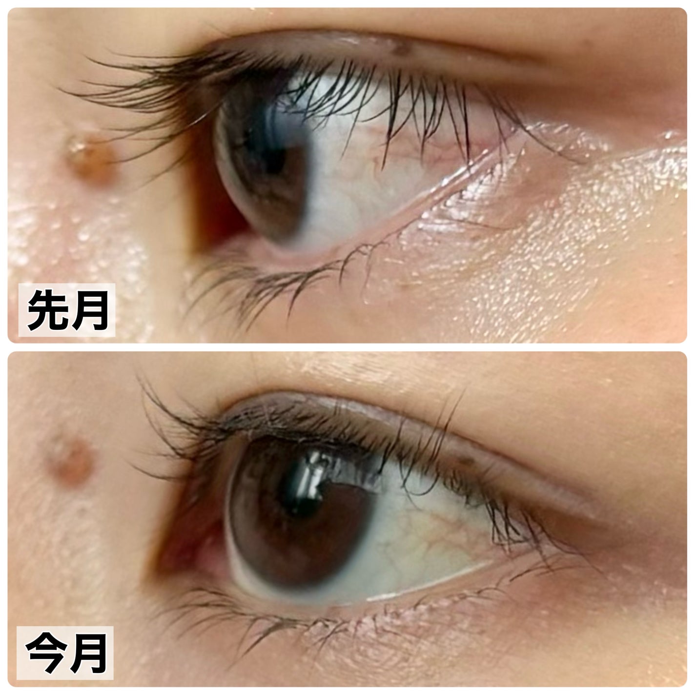 ラッシュルーティーン/キャンメイク/まつげ美容液を使ったクチコミ(3枚目)