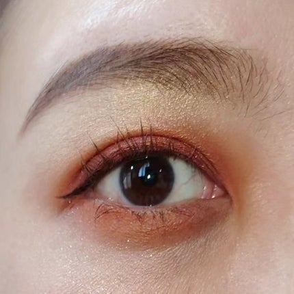 アート ライブラリー/M・A・C/アイシャドウパレットを使ったクチコミ(5枚目)