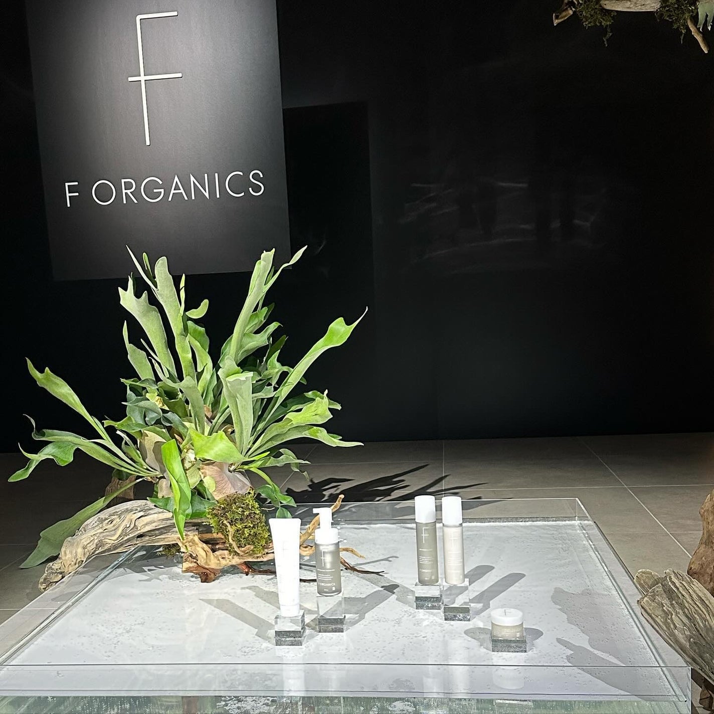 MOISTURE CLEANSING CREAM/F organics(エッフェ オーガニック)/クレンジングクリームを使ったクチコミ(10枚目)