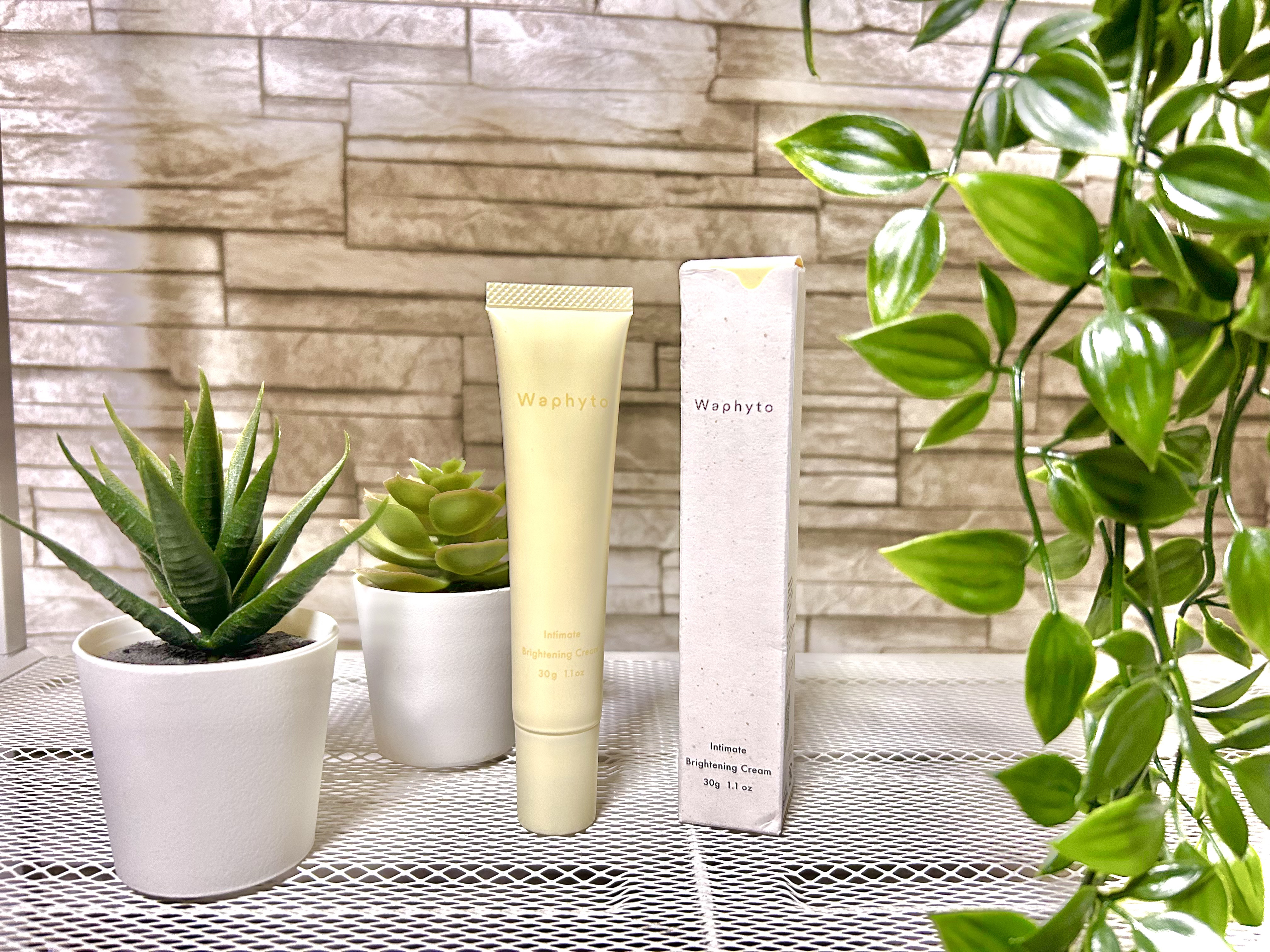 インティメイト ブライトニングクリーム/Waphyto/デリケートゾーンケアを使ったクチコミ（1枚目）