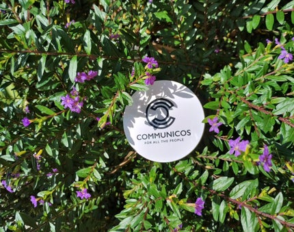 mcgroupakiko on LIPS 「先日、携帯を落としてしまいカメラ機能に不具合発生。なので、キャ..」(5枚目)