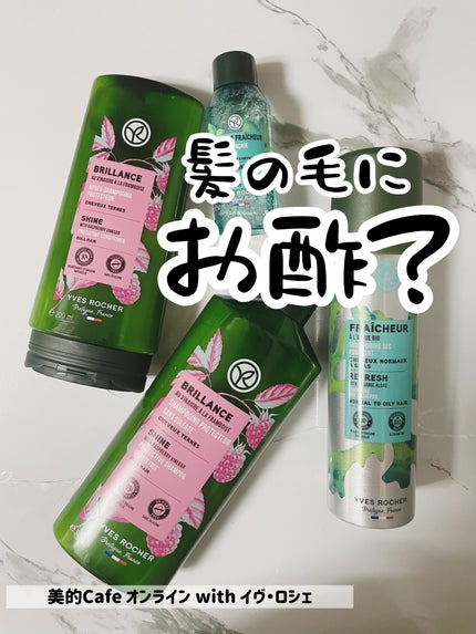 ヘルシースカルプ シャンプー/コンディショナー 〈シルキーシャイン〉/イヴ・ロシェ/市販シャンプーを使ったクチコミ(1枚目)