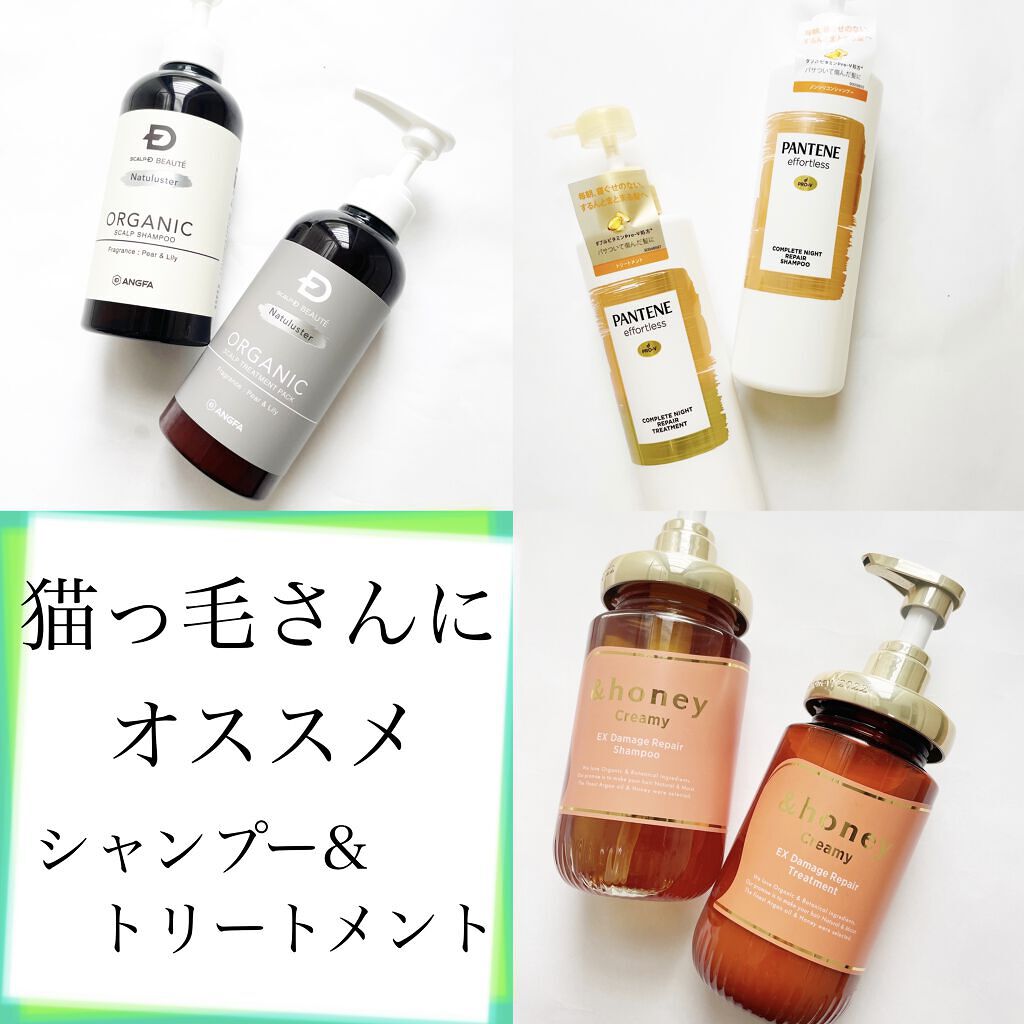 スカルプD ボーテ ナチュラスター スカルプシャンプー／トリートメントパック/アンファー(スカルプD)/シャンプー・コンディショナーを使ったクチコミ（1枚目）