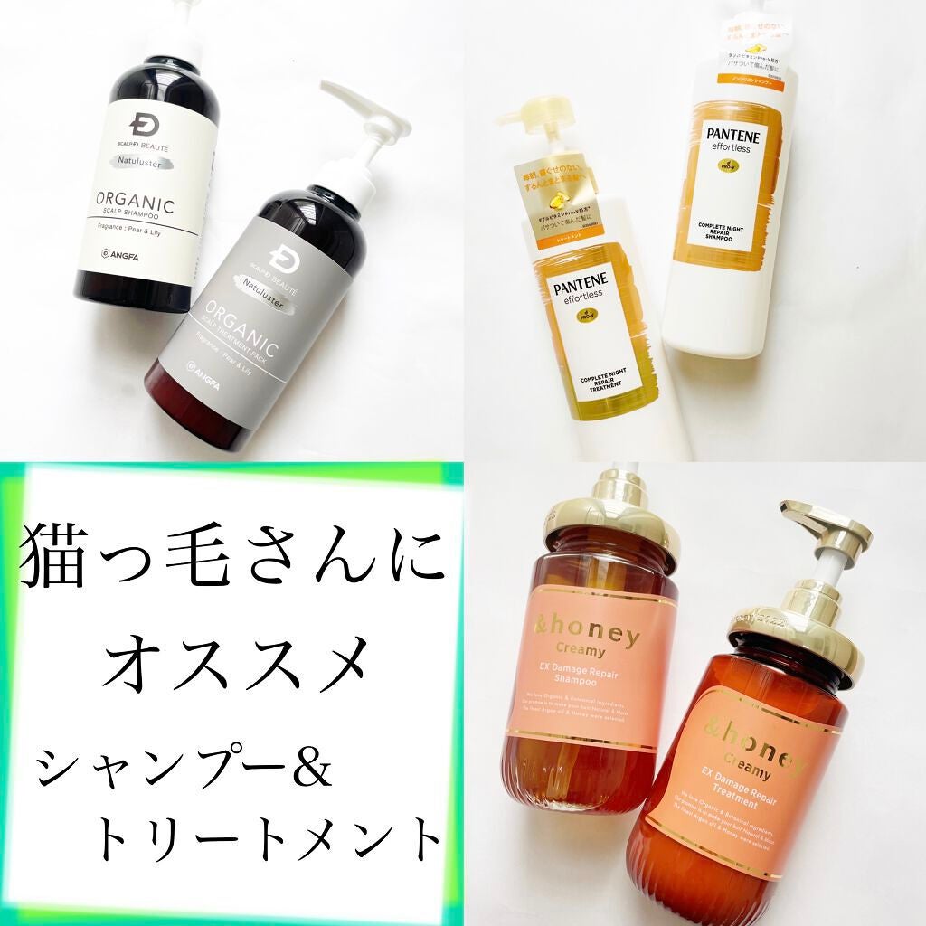 スカルプD ボーテ ナチュラスター スカルプシャンプー/トリートメントパック/アンファー(スカルプD)/シャンプー・コンディショナーを使ったクチコミ(1枚目)