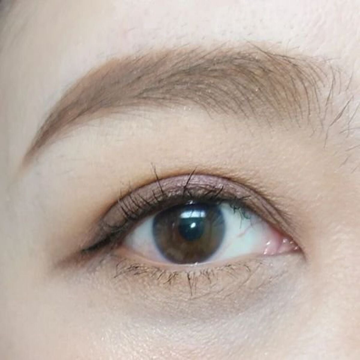 Not a box of chocolates/ColourPop/アイシャドウパレットを使ったクチコミ(5枚目)