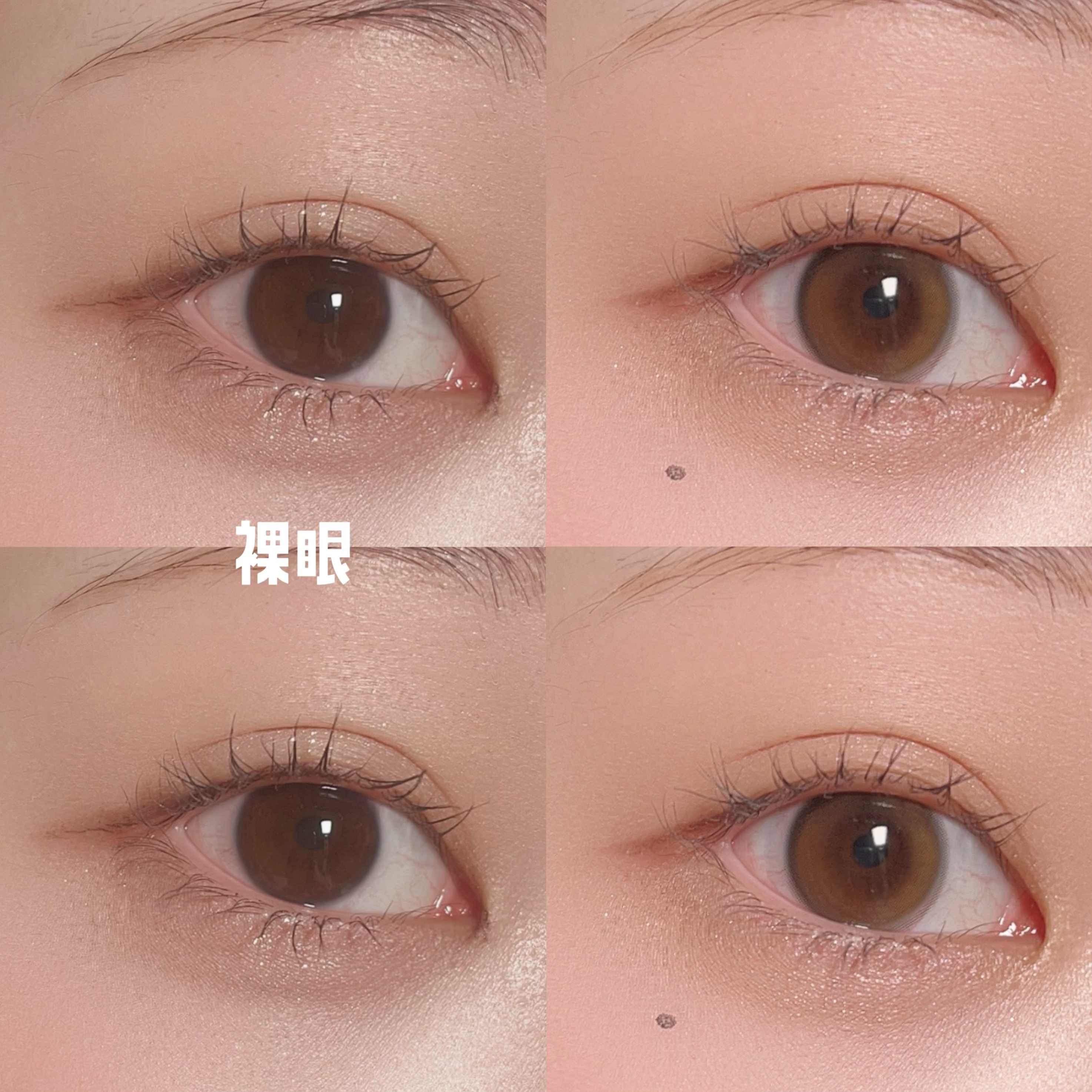 YURIAL 1DAY/URIA i-DOL/ワンデー(1DAY)カラコンを使ったクチコミ(3枚目)