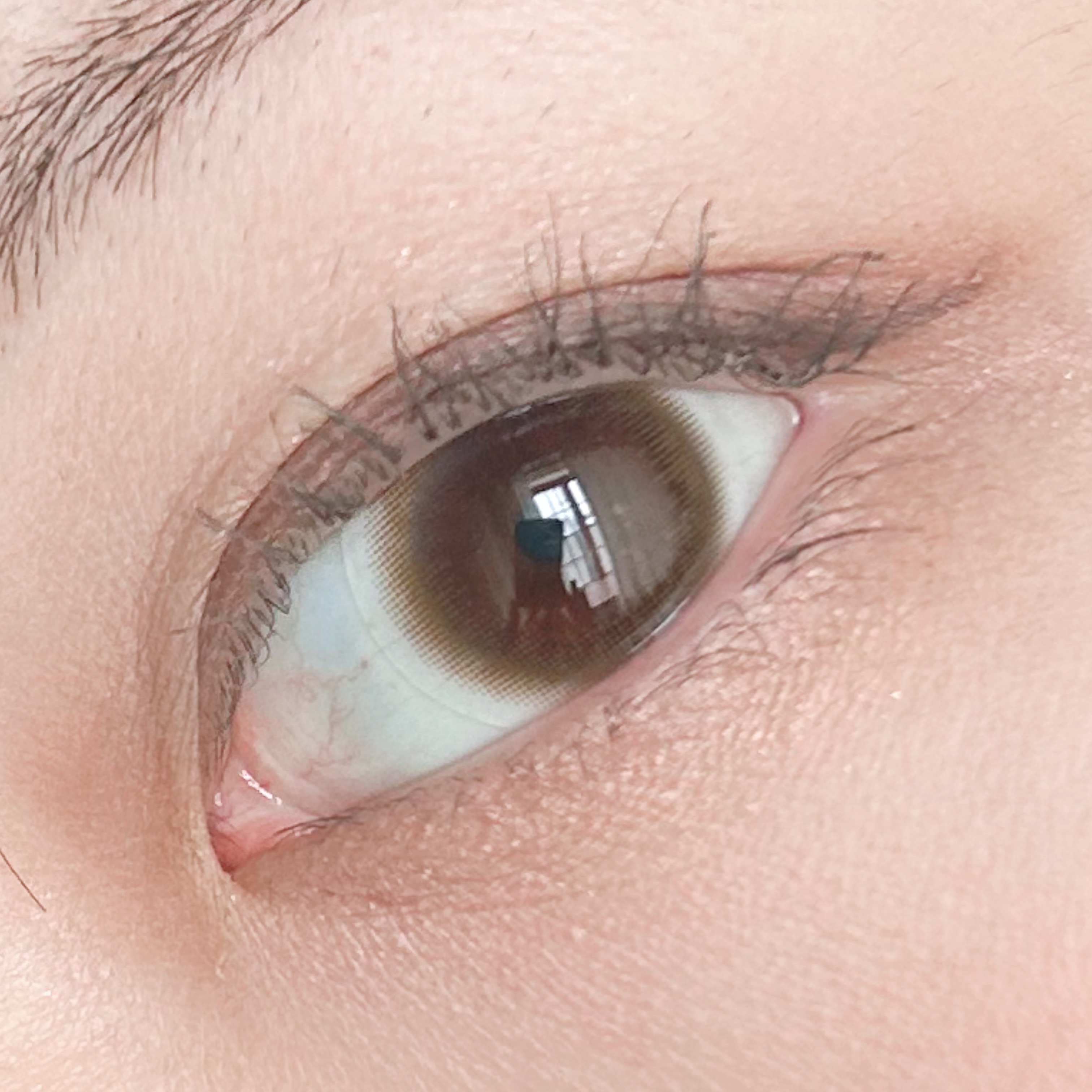 インザミラーアイパレット/Ririmew/アイシャドウパレットを使ったクチコミ（2枚目）