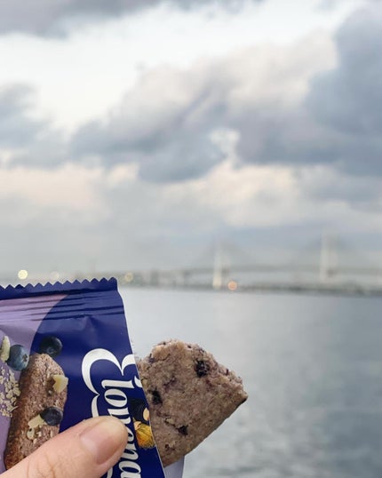 オーツ麦100オーツバー/Elovena/シリアルバーを使ったクチコミ(3枚目)