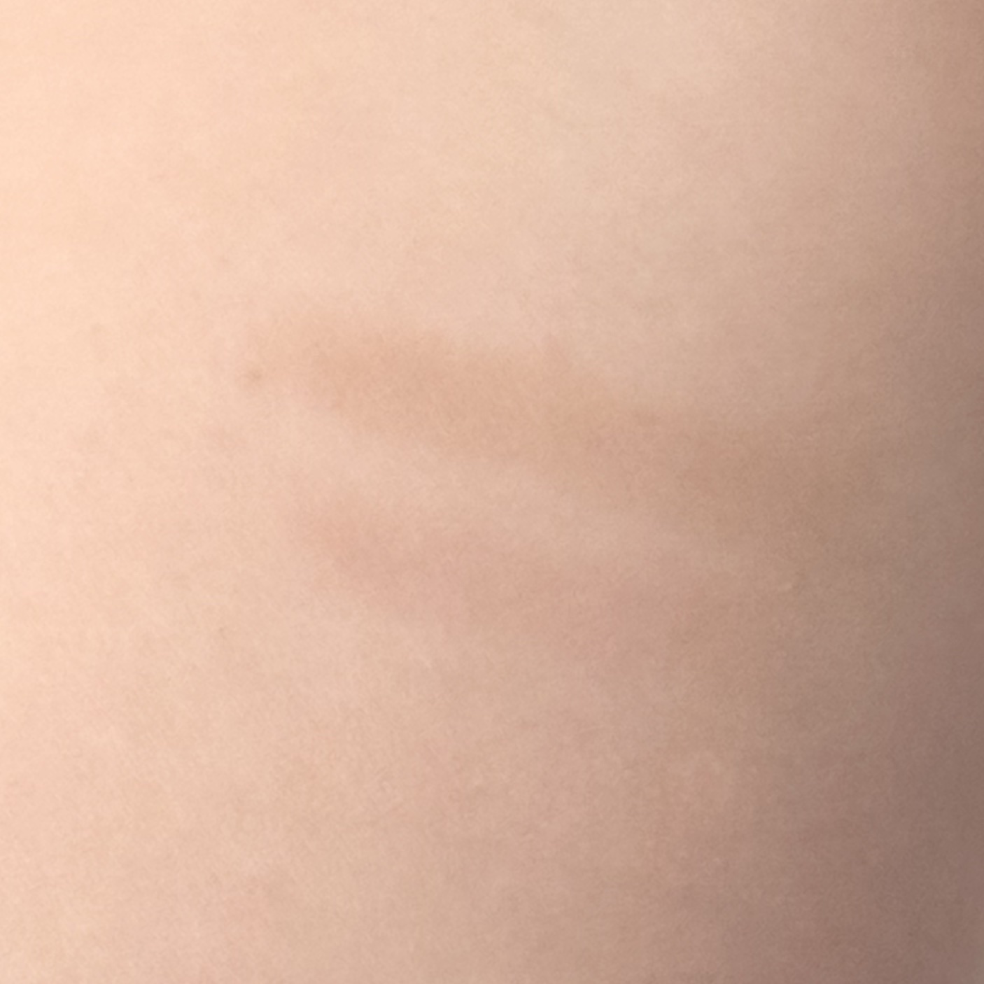 レディートゥーウェアアイパレット 06 クールスタンダード/BBIA/アイシャドウパレットを使ったクチコミ（2枚目）