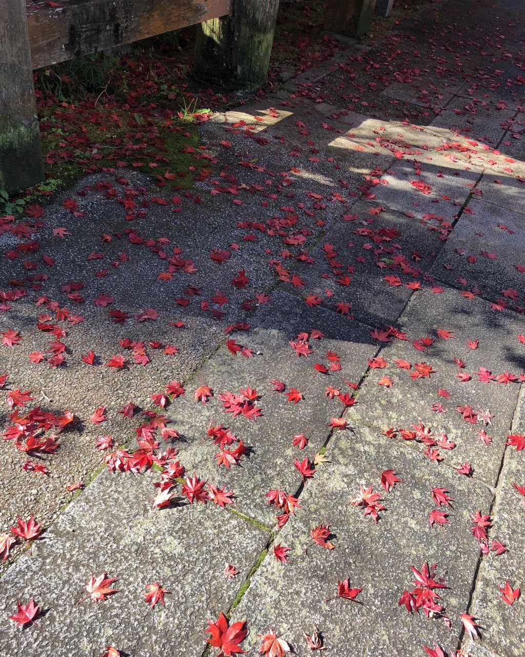 トリプルレシピアイズ/インテグレート/アイシャドウパレットを使ったクチコミ（2枚目）