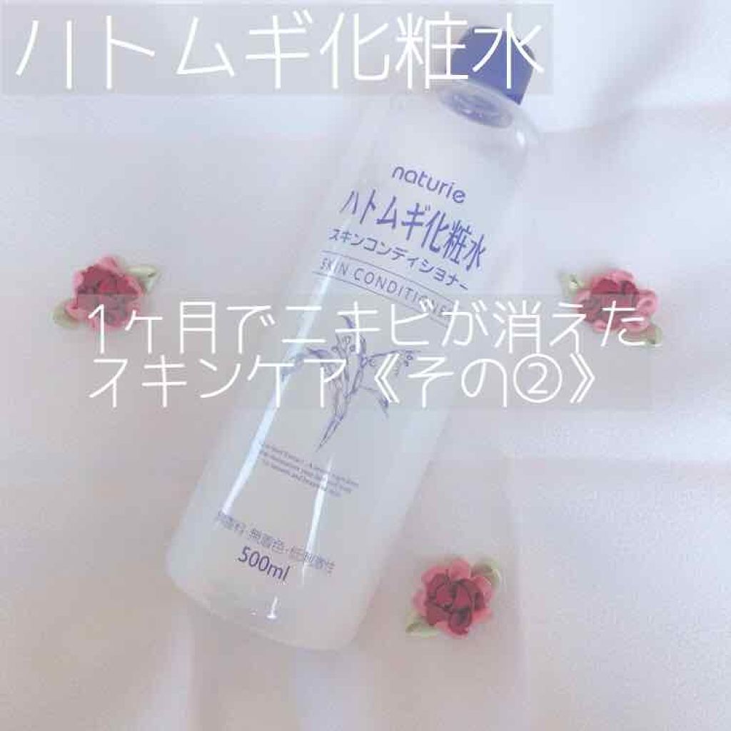 ハトムギ化粧水(ナチュリエ スキンコンディショナー R )/ナチュリエ/化粧水を使ったクチコミ（1枚目）