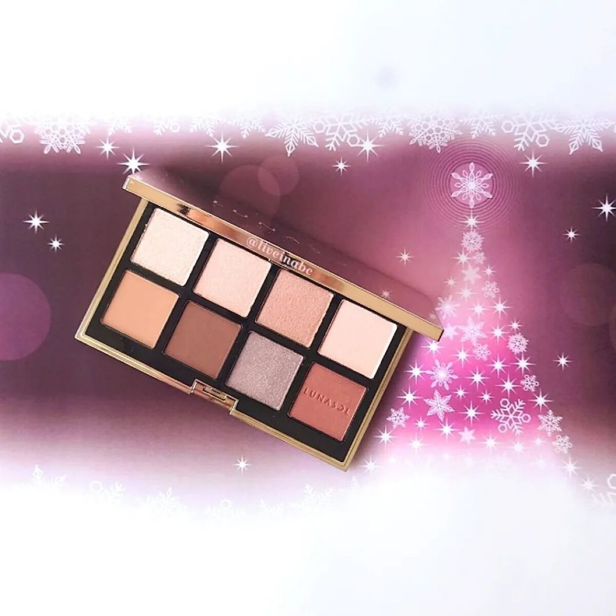 アイカラーレーション スペシャルエディション/LUNASOL/アイシャドウパレットを使ったクチコミ（1枚目）