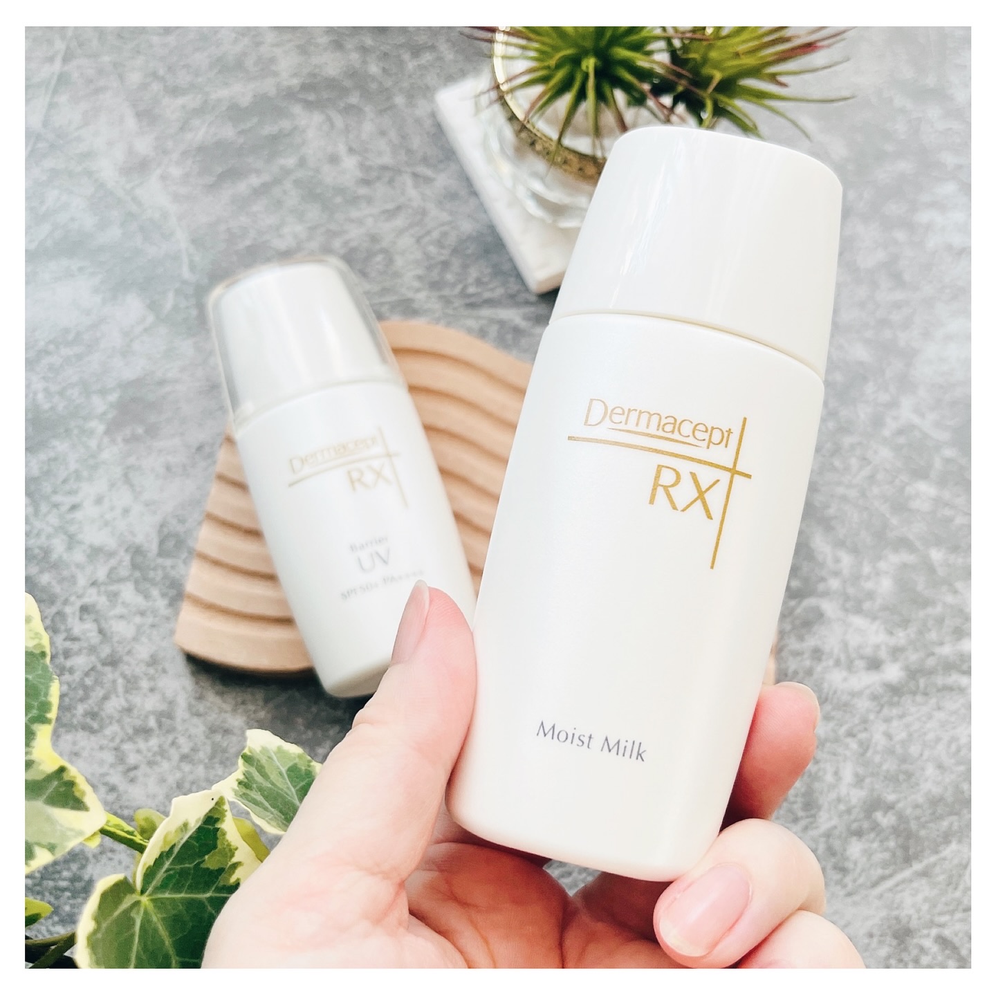 モイストミルク/ダーマセプトRX/乳液を使ったクチコミ（2枚目）