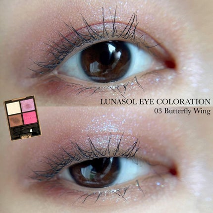 アイカラーレーション/LUNASOL/アイシャドウパレットを使ったクチコミ(1枚目)