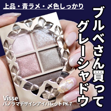 パノラマデザイン アイパレット/Visée/アイシャドウパレットを使ったクチコミ（1枚目）