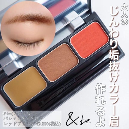 パレットアイブロウ レッドブラウン/&be/パウダーアイブロウを使ったクチコミ(1枚目)