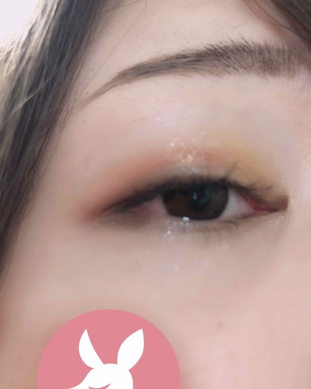 ミネラルクラッシィシャドー/エトヴォス/アイシャドウパレットを使ったクチコミ(3枚目)