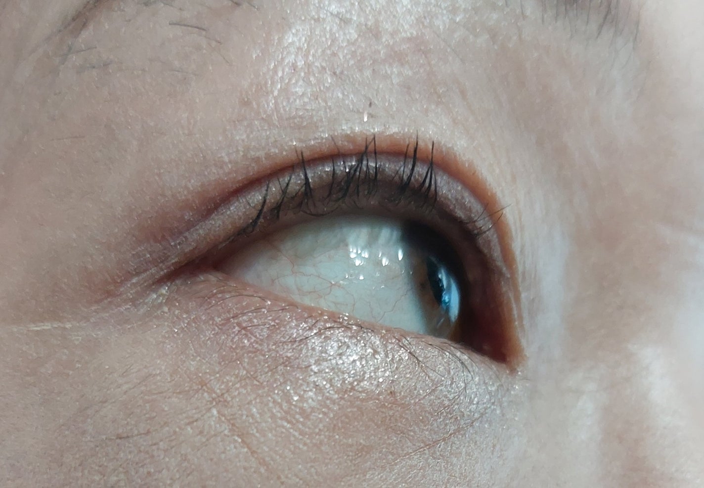 カールアメイジング マスカラ/Elégance/マスカラを使ったクチコミ(3枚目)