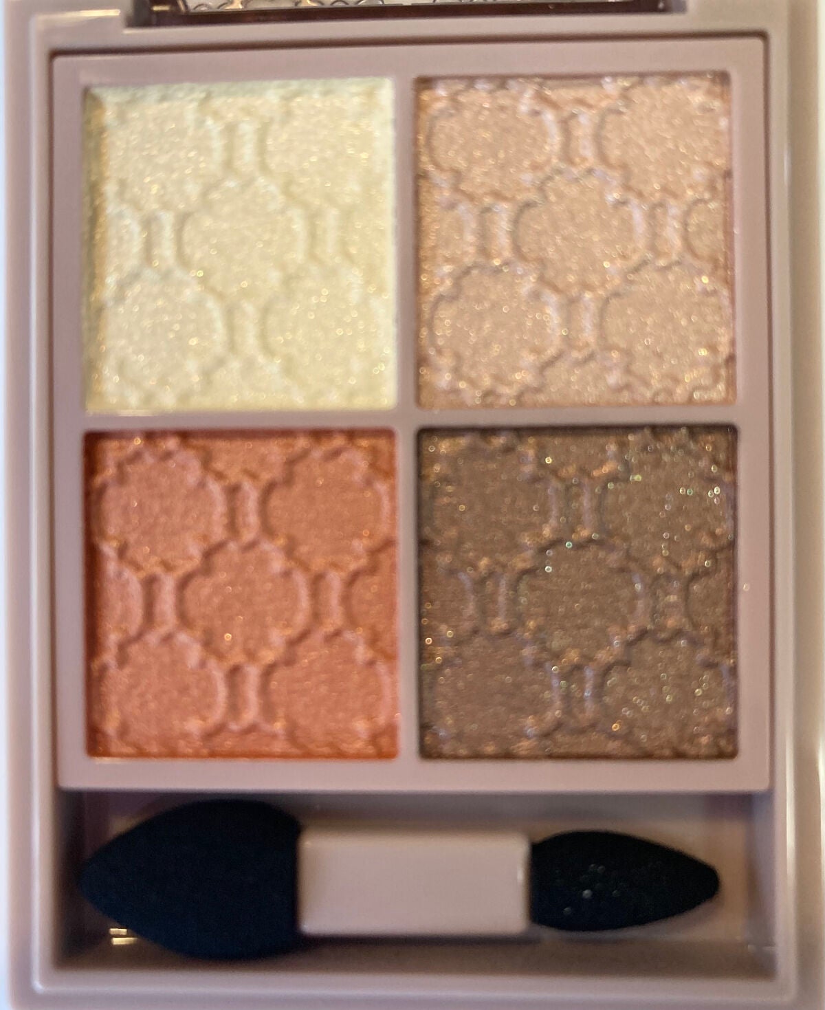 グロッシーリッチ アイズ N/Visée/アイシャドウパレットを使ったクチコミ(2枚目)