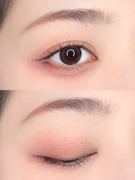 エクスプローラ12色 動物アイシャドウパレット/PERFECT DIARY/アイシャドウパレットを使ったクチコミ(2枚目)