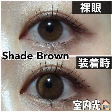 i-sha/蜜のレンズ/カラーコンタクトレンズを使ったクチコミ(5枚目)