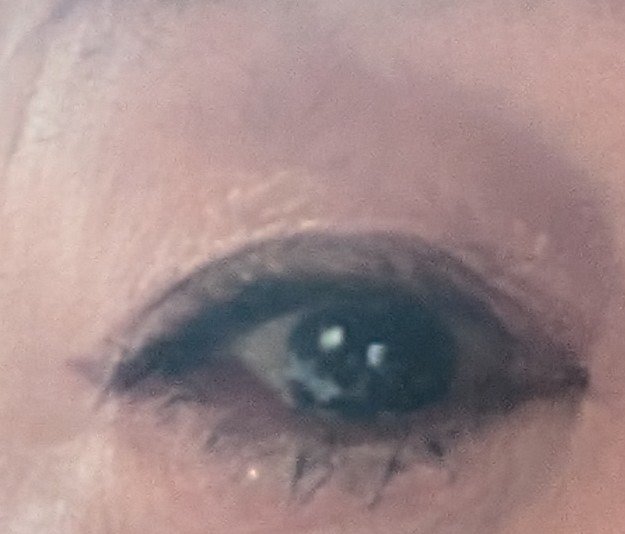 アイライナー/Étoile Rose/リキッドアイライナーを使ったクチコミ（2枚目）