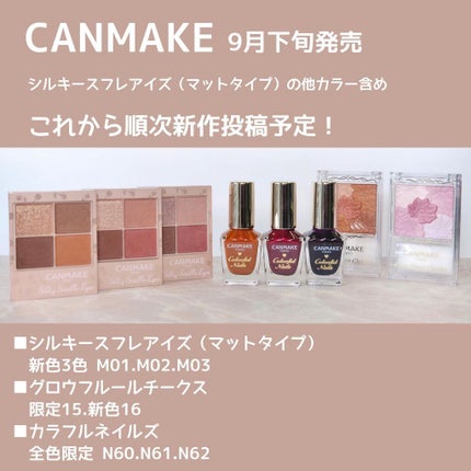 クリーミータッチライナー/キャンメイク/ジェルアイライナーを使ったクチコミ(8枚目)