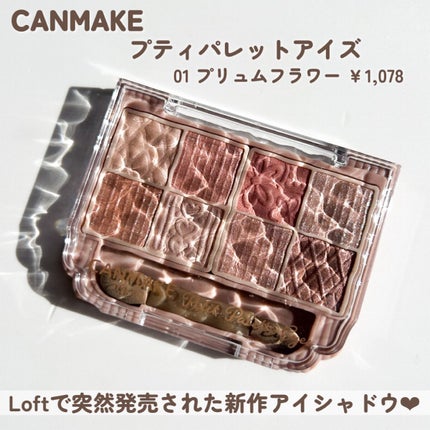 プティパレットアイズ/キャンメイク/パウダーアイシャドウを使ったクチコミ(2枚目)