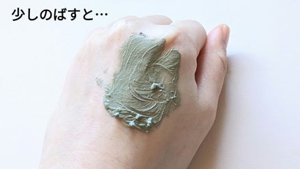 ティーツリーCクレイパックS/BRING GREEN/洗い流すパック・マスクを使ったクチコミ(5枚目)