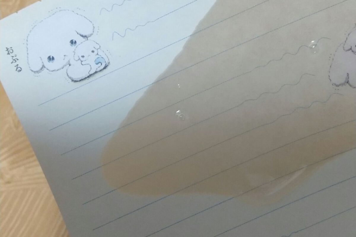 オイルクレンジング/ラチェスカ/オイルクレンジングを使ったクチコミ（3枚目）