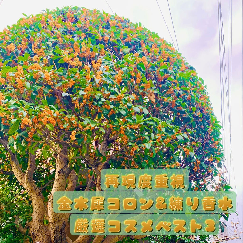 舞妓夢コロン/京都舞妓コスメ/香水(レディース)を使ったクチコミ(1枚目)