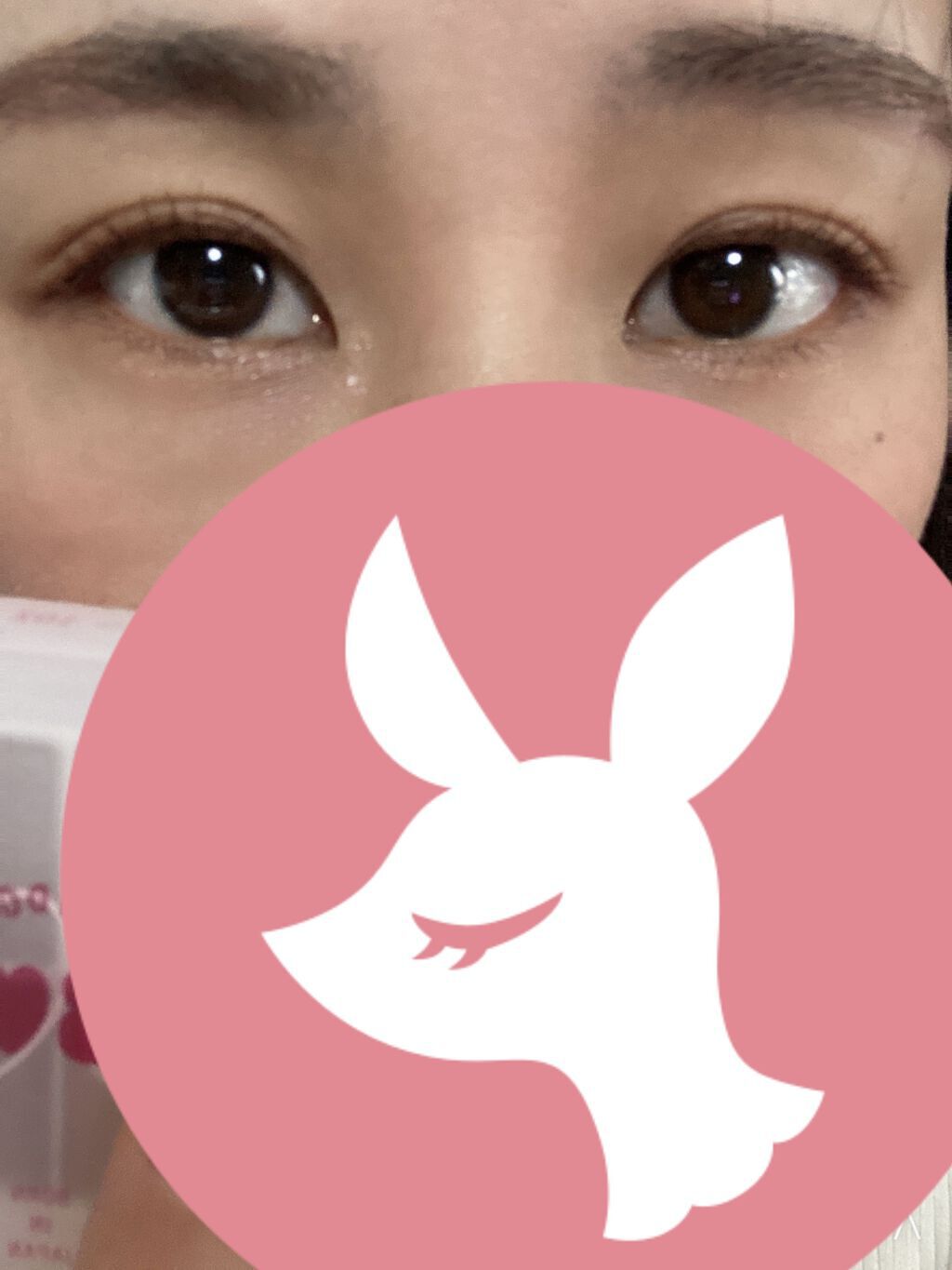 THE アイパレR/b idol/アイシャドウパレットを使ったクチコミ（2枚目）