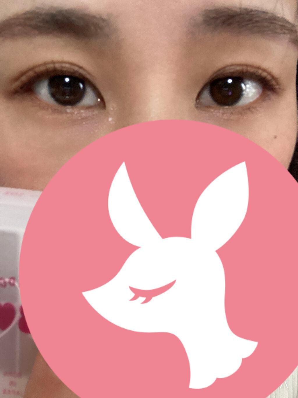 THE アイパレR/b idol/アイシャドウパレットを使ったクチコミ(2枚目)