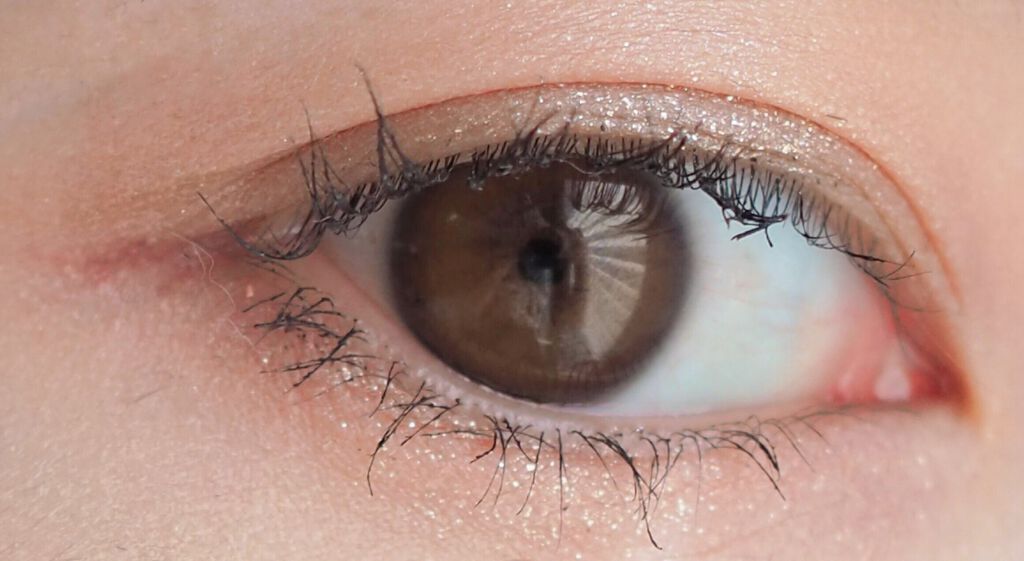 ラッシュエキスパンダー エッジマイスター F/MAJOLICA MAJORCA/マスカラを使ったクチコミ(3枚目)