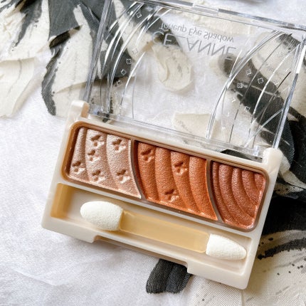 トーンアップアイシャドウ/CEZANNE/アイシャドウパレットを使ったクチコミ(2枚目)