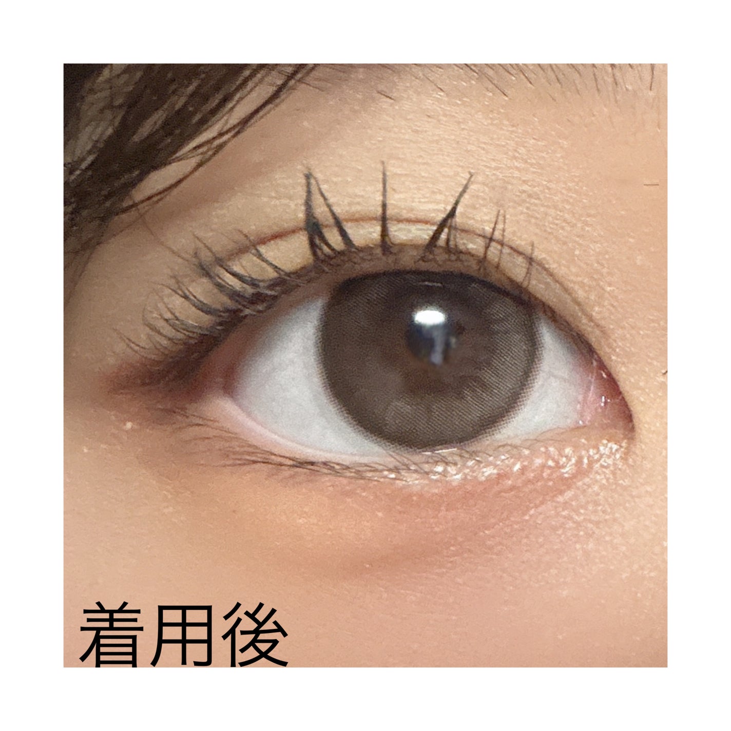 めん。 on LIPS 「#Qoo10メガ割買って後悔なし!ナチュラルに儚い系女子になれ..」(3枚目)