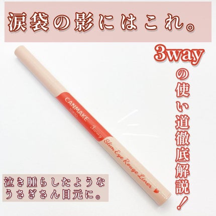 3wayスリムアイルージュライナー/キャンメイク/リキッドアイライナーを使ったクチコミ(1枚目)