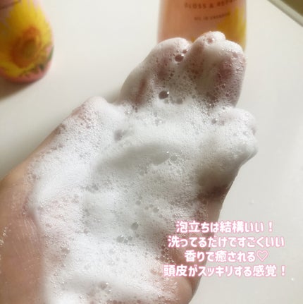 ãªã€ã«ã€ã³ã·ã£ã³ããŒïŒãªã€ã«ã€ã³ã³ã³ãã£ã·ã§ã㌠(ã°ãã¹ïŒãªãã¢)/ãã£ã¢ããŒã/åžè²©ã·ã£ã³ããŒã䜿ã£ãã¯ãã³ãïŒ5æç®ïŒ