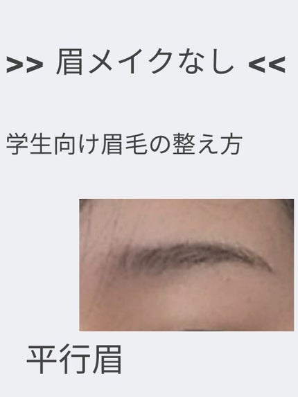 折りたたみ式・眉メイク用かみそり/無印良品/シェーバーを使ったクチコミ(1枚目)